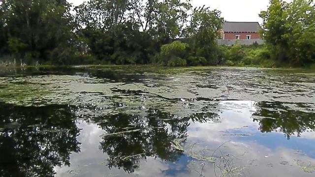 Пруд с чистой водой. смотреть онлайн