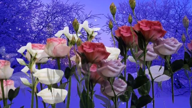 РОЗЫ В ФЕВРАЛЕ -( Евгений Войнов ) смотреть онлайн