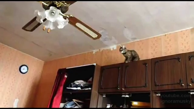 Не удержался смотреть онлайн