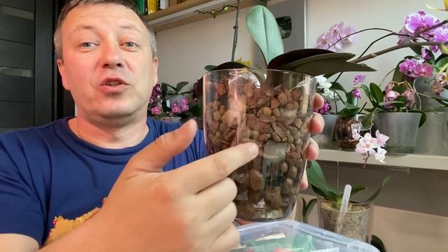 ОРХИДЕЯ после пересадки ВТОРОЙ полив орхидеи смотреть онлайн