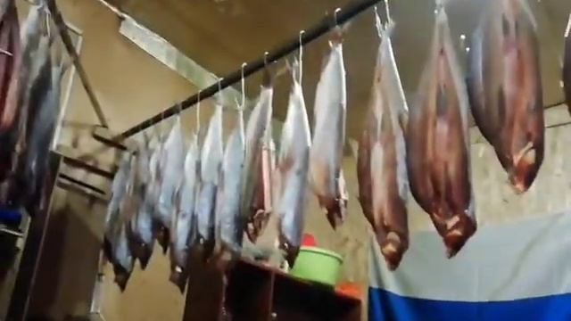 Вяленный чир смотреть онлайн