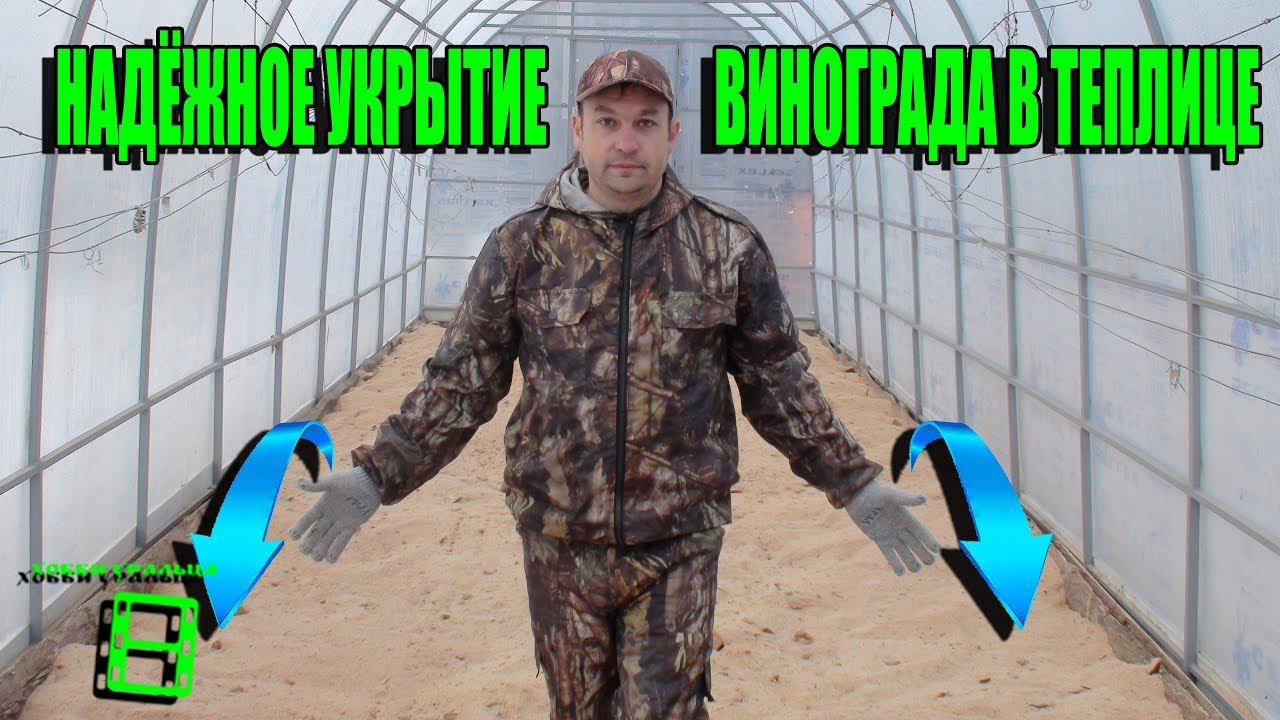 НАДЁЖНОЕ УКРЫТИЕ ВИНОГРАДА В ТЕПЛИЦЕ. ПОДГОТОВКА К ЗИМЕ ЧАСТЬ 6. ВЫРАЩИВАНИЕ ВИНОГРАДА В ТЕПЛИЦЕ смотреть онлайн