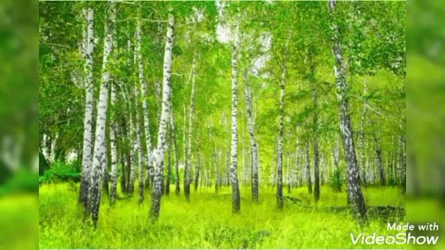 русские березы смотреть онлайн