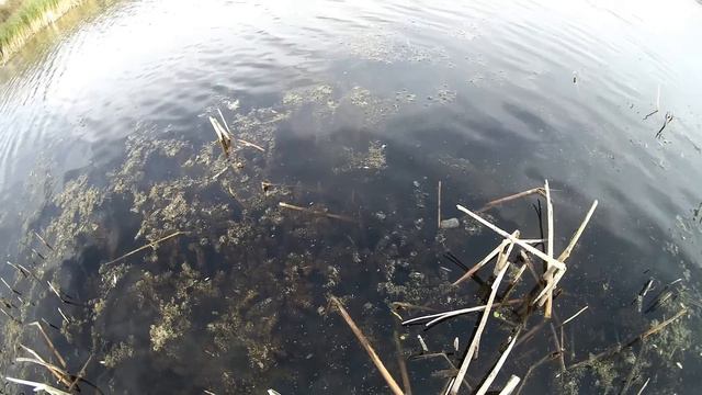 Ловля окуня на вертушки Астана Казахстан 2015 смотреть онлайн