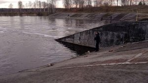 Окунь на креветку, судак на уклейку!!!