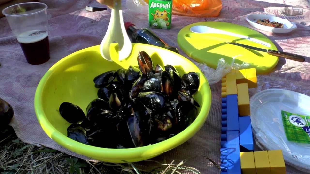 Как пожарить мидии на костре / how to cook mussels смотреть онлайн