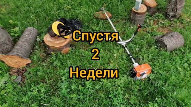Мотокоса STIHL FS-250 У ТРАВЫ НЕТ ШАНСОВ смотреть онлайн