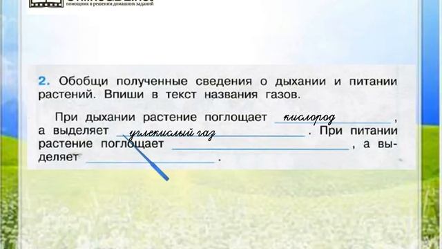 Задание 2 Солнце, растения и мы с вами - Окружающий мир 3 класс (Плешаков А.А.) 1 часть смотреть онлайн