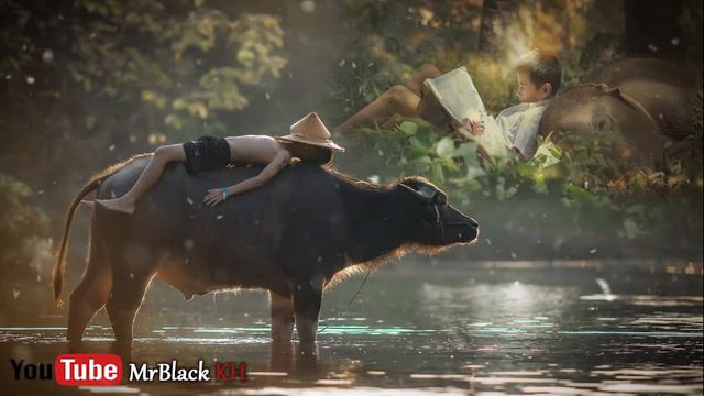 1Hour Relaxing Music Sleep, Khmer Flute sound Sleep | MrBlack KH смотреть онлайн