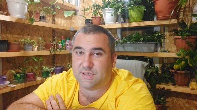 Ютуб опять чудит?♂️