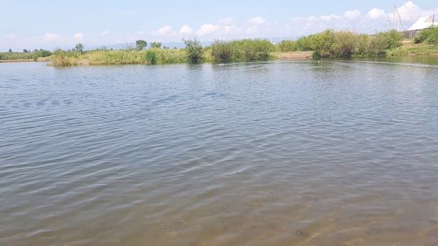 С.Сокуренко с моделью аэробота в День ВМФ России смотреть онлайн