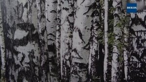 Как правильно клеить фотоообои на стены  Поклейка фотообоев DEKOS