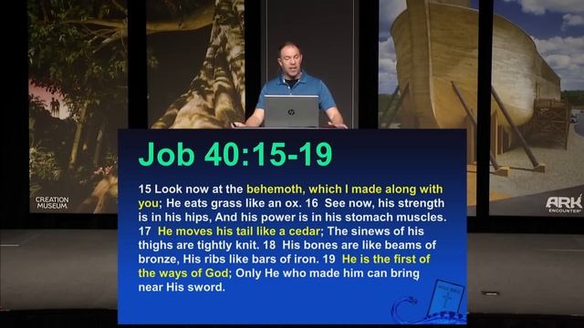 You Must Watch Out for THIS in Children’s Books смотреть онлайн