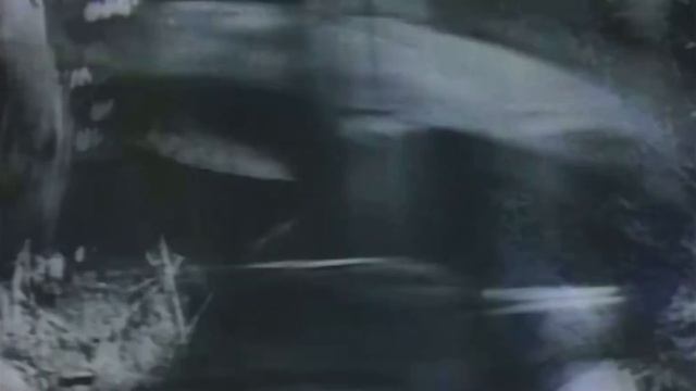 Дедушкабыт Протопопов Семен Иванович, 1995 с. смотреть онлайн