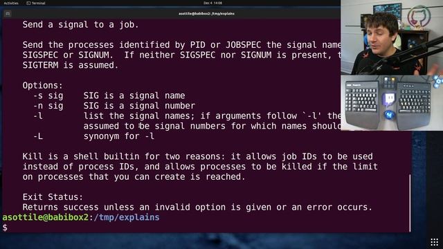 why are some things shell builtins? (intermediate) anthony explains #510 смотреть онлайн