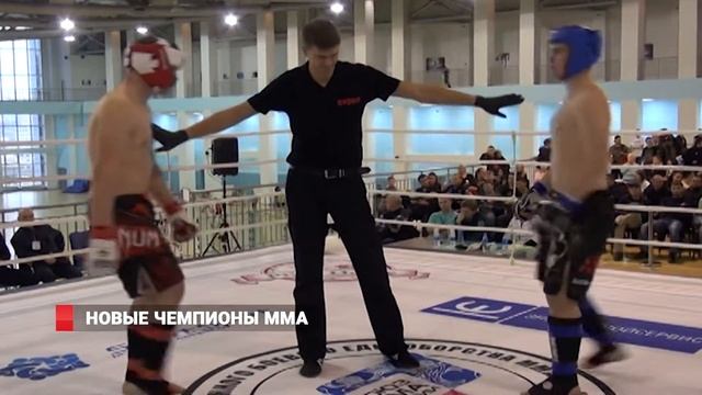 Стали известны имена новых чемпионов Владивостока по ММА смотреть онлайн