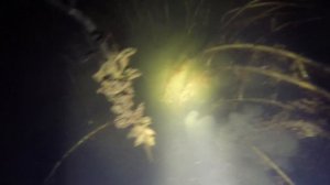 Подводная охота - пруд в деревне