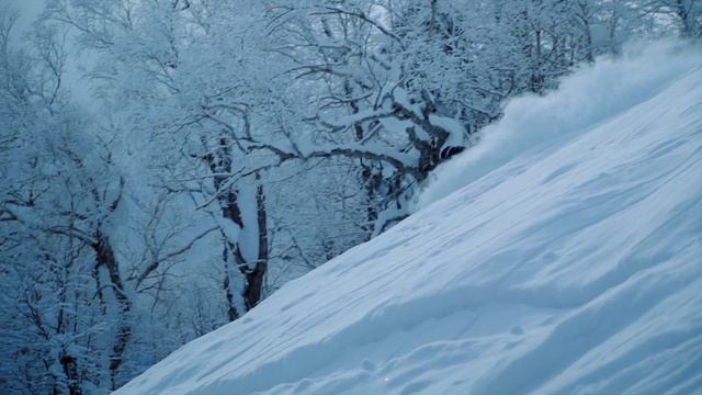 HOKKAIDO POWDER BELT - POWDER SNOW HOKKAIDO