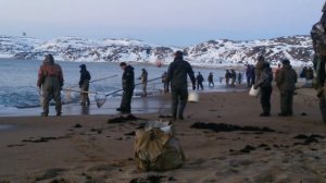 Ловля мойвы териберка 2017