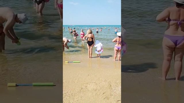 06.08.22г Джемете. Анапа. Море начало цвести смотреть онлайн
