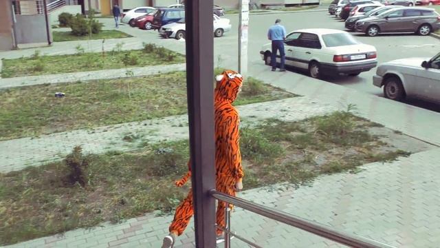 котёнок с улицы лизюкова (REMIX) про Воронеж))) смотреть онлайн