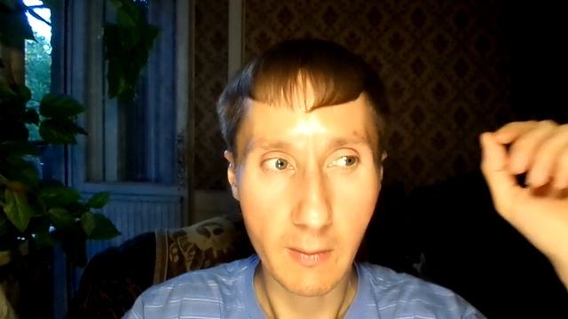 Рептилоиды в квартире (ч. 1). Ченнелинг. Контактер смотреть онлайн