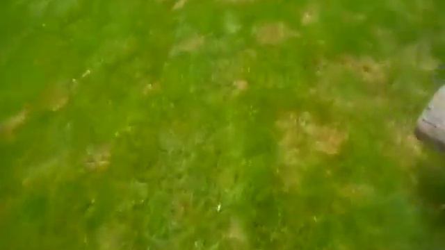 Quick Plastic Chair Video смотреть онлайн