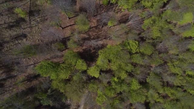 Colonia Devoto - Monte Zatta - Liguria - DJI Mavic Mini смотреть онлайн