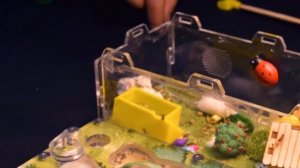 ОГРОМНЫЙ ТЕРРАРИУМ  ПОЛГОДА СПУСТЯ, КУЧА НОВЫХ ОБИТАТЕЛЕЙ!