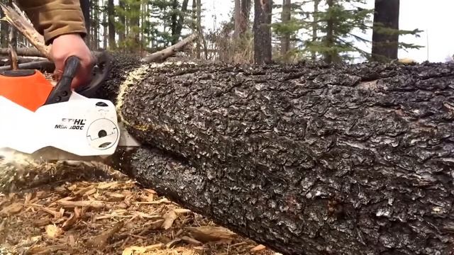 Аккумуляторная пила STIHL MSA 200 C-BQ смотреть онлайн