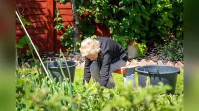 «Традиции народной культуры» смотреть онлайн