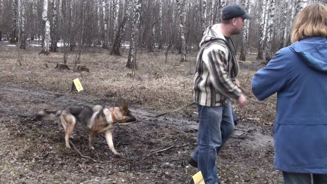 Хризантема, продолжение. смотреть онлайн