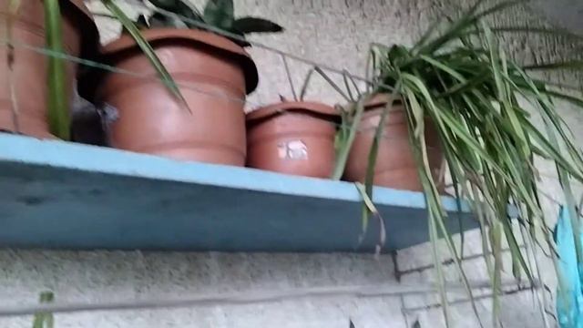 мои вам пожелания,дорогие друзья!!!! смотреть онлайн