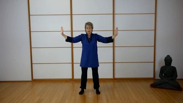 "Wie eine Wildgans fliegen" mit Myochu QiGong aus Ismaning, München Nord. смотреть онлайн