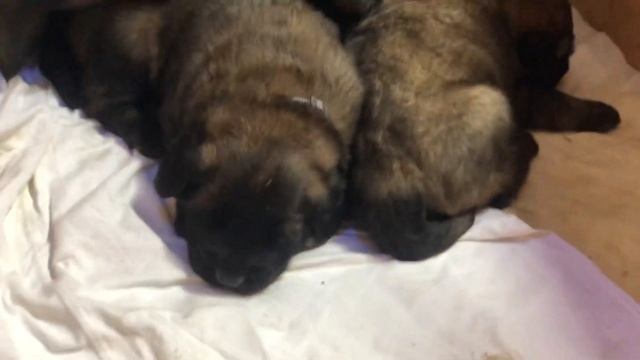 28 октября 2023 г.