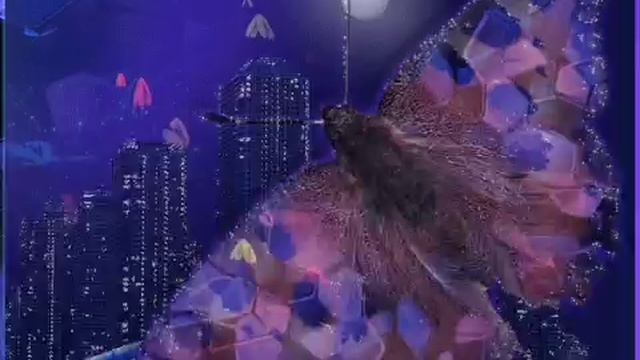 Ночи Доброй, Нежной, Сладкой! Пожелание Добрых Снов! смотреть онлайн