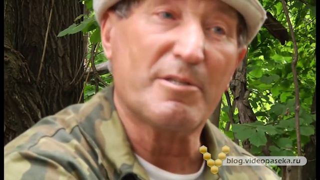 Беседы на пасеке смотреть онлайн
