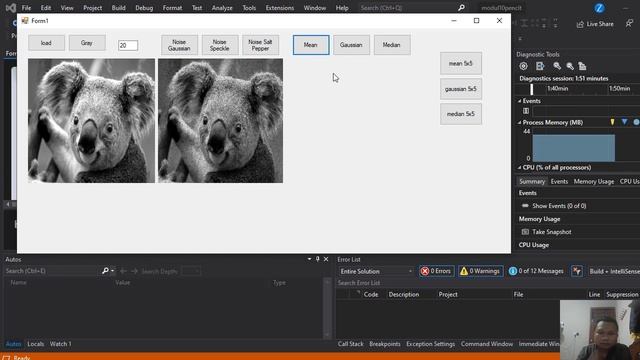 IMAGE NOISE AND NOISE REDUCTION Visual studio C# смотреть онлайн