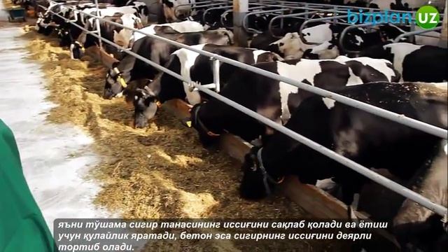 Маты для ферм «Экопол» смотреть онлайн
