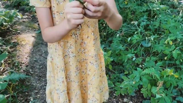 Forest fairy смотреть онлайн