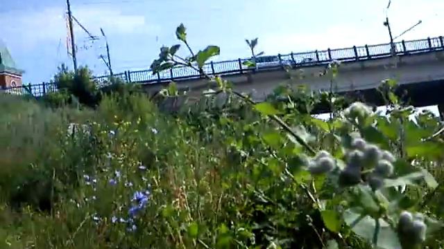 Я гуляю и снимаю берег, река Ока, город Орёл, на берегу колючки растут смотреть онлайн