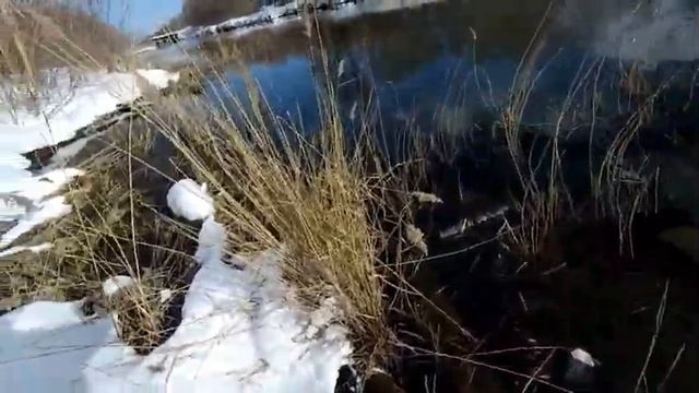 МОРМЫШИНГ x TURING MONKEY SP50 x УКЛЕЙКА, ГУСТЕРА, КРАСНОПЕРКА И ОКУНЬ #37 смотреть онлайн