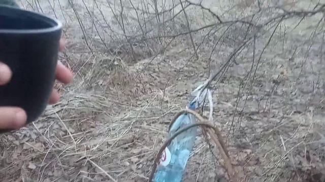 С Юрой на охоте. Вальдшнеп. Пьем березовый сок. смотреть онлайн
