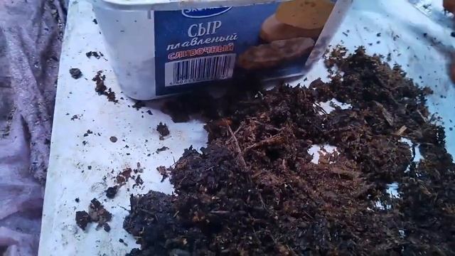 Ложка метаризина ему в пасть смотреть онлайн