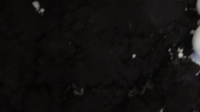 Шампиньоны прямо с грядки. смотреть онлайн