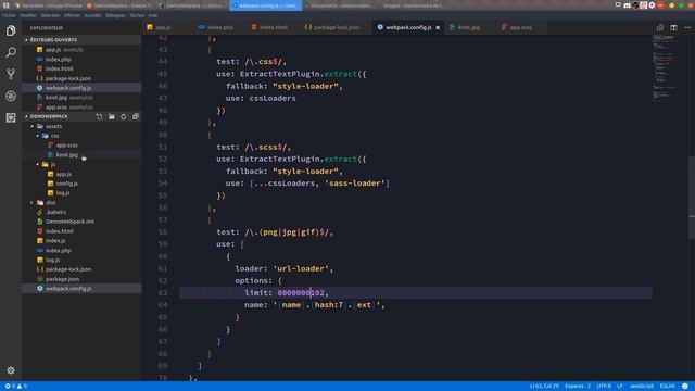 Comprendre Webpack (8/15) : Url Loader смотреть онлайн