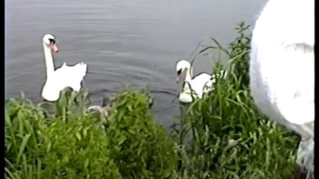 1996-07-13 300 лет флоту РФ смотреть онлайн