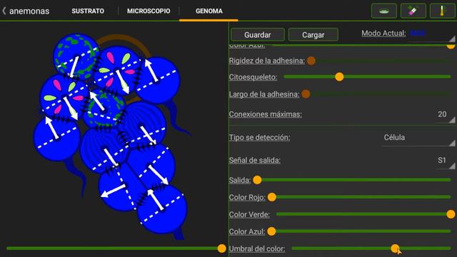 cell lab: Anemona (avanse) смотреть онлайн
