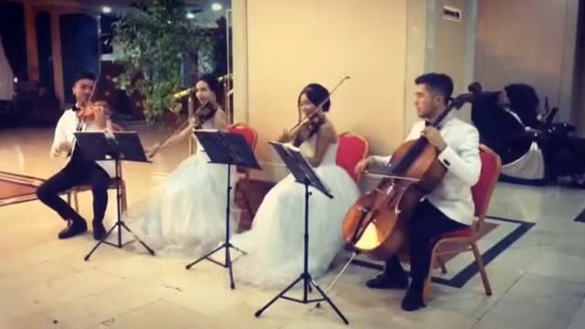 Bravo quartet " Despacito" смотреть онлайн