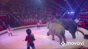 VLOG | БРЯНСКИЙ ЦИРК | "ДЕВОЧКА И СЛОН"